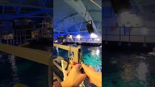 Volunteer Diving at the Aquarium - Part 1