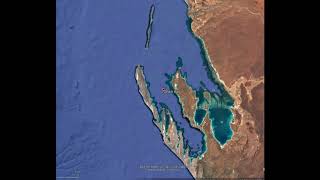 Full Post How does salinity impact fish grazing in seagrass meadows July 17 2019