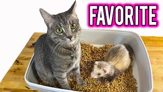 Favorite LITTER BOX