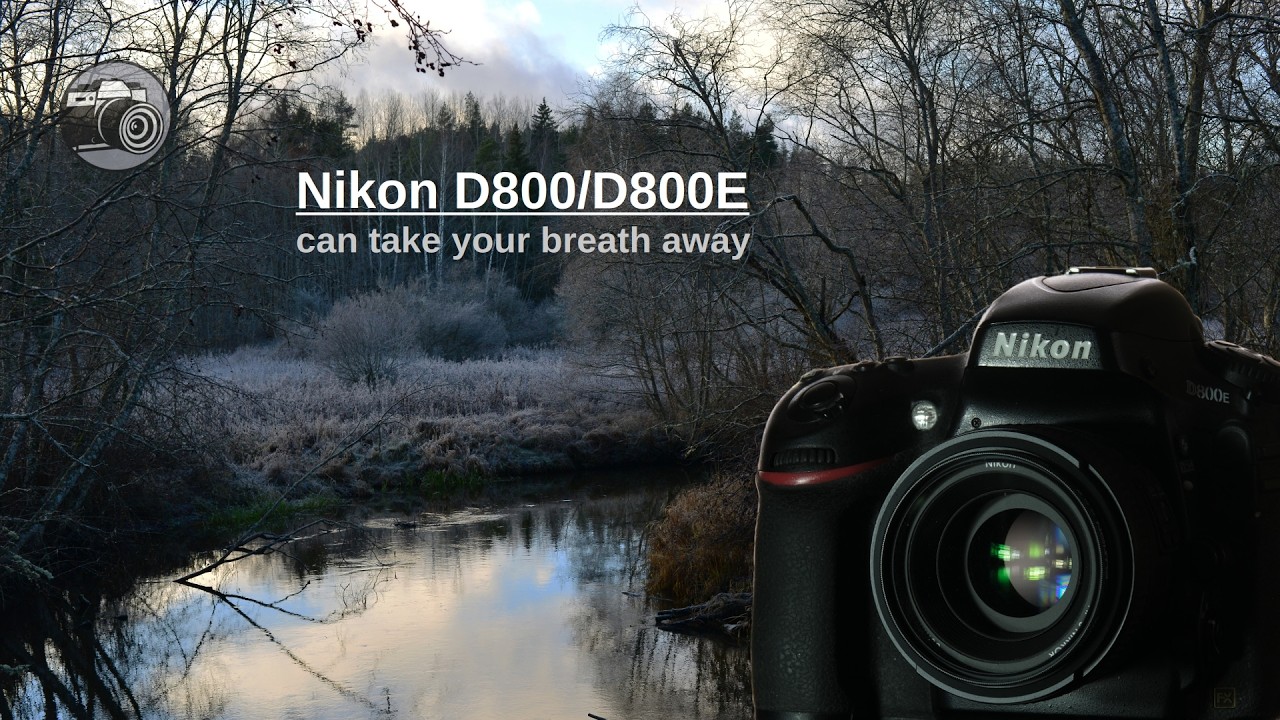 Nikon D800/D800E - why you would want them in 2026? - YouTube