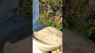 DR PEPPER, PEPSI vs MENTOS in TOILET | #Shorts