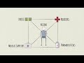 Healthcare Provider Industry Overview - Introduction