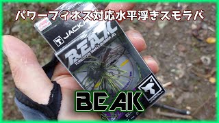 【ビーク】現状これ以上のスモラバはないと思う【パワーフィネス】