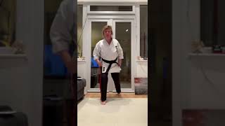 Celebrity High block reverse punch in long front stance Profile