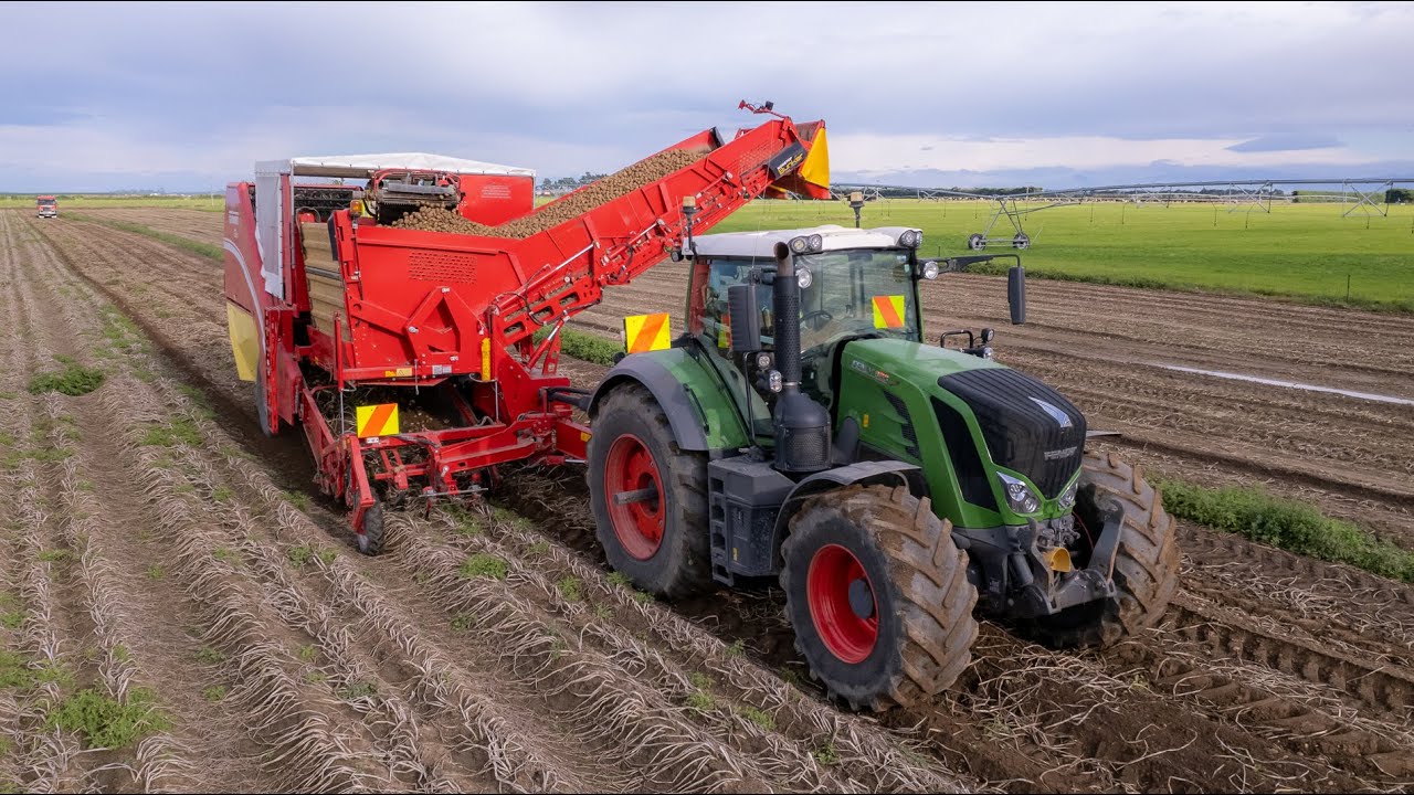 Harvesting Potatoes w/ Fendt 828 & Grimme SE 260