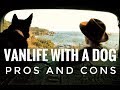 Vanlife with a Dog: Pros and Cons