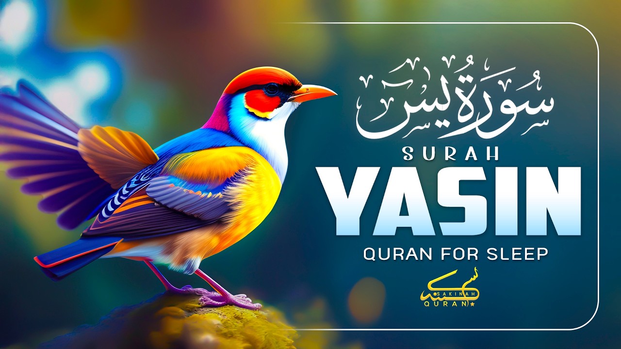 Surah Yasin (Yaseen) سورة يس | Powerful Quran Recitation for Mercy, Barakah & Calmness #surahyaseen