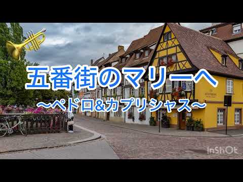 五番街のマリーへ〜ペドロ&カプリシャス