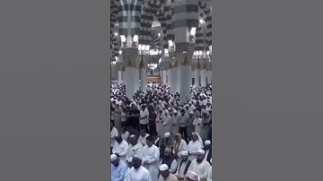 سورة الشرح بصوت الشيخ علي بن عبدالرحمن الحذيفي من المسجد النبوي الشريف