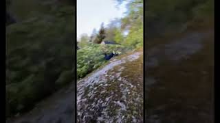 the man falls into the bush/FOX VIDEOS _shorts