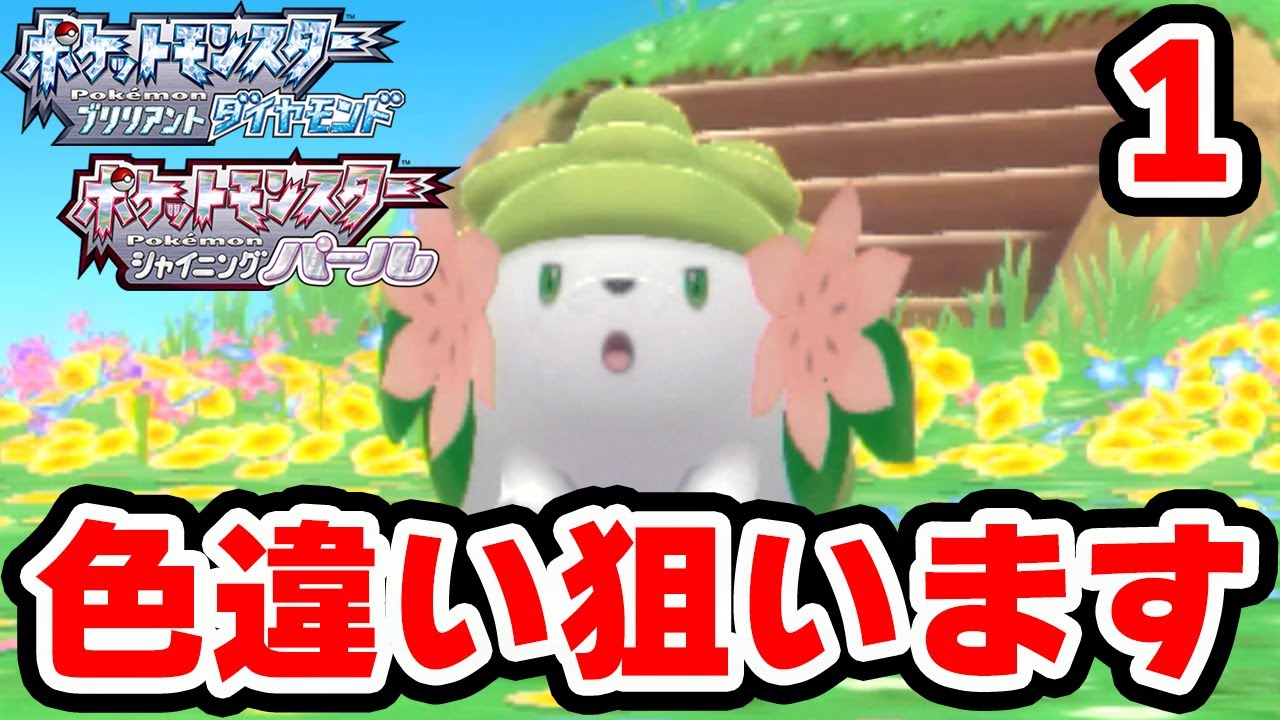 色違いシェイミが欲しい 1 ポケモンbdsp Youtube