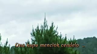 Karaoke Wanita Manuk Prenjaklagu Jawa ciptarryudhihana S