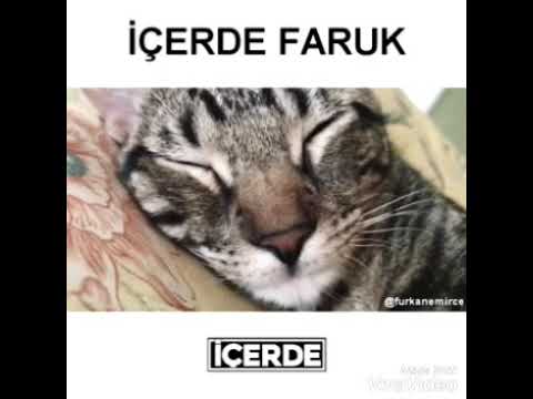 İçerde Faruk 1-2-3 bölümler