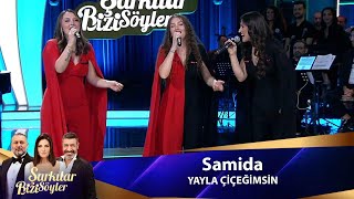 Samida - YAYLA ÇİÇEĞİMSİN Resimi