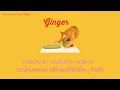 (THAISUB) TOMOO - Ginger #นิ้วเบียดแปลไทย