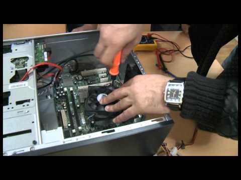 IT / IT სპეციალისტი