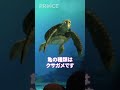【タートルトーク】喋り方が可愛くて友達になりたい【ディズニー】 #shorts