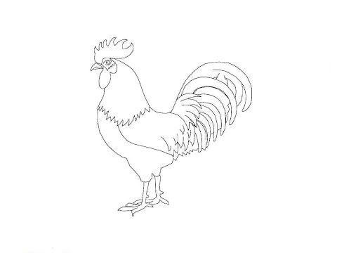 How to Draw a Cock / Как нарисовать петуха How to Draw a Cock / Как нарисовать петуха