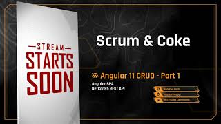 Famous Angular 11 CRUD 100,000+ Rows - Part 1 Net Worth