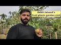 Ankit jaiswals fruit plants garden visit