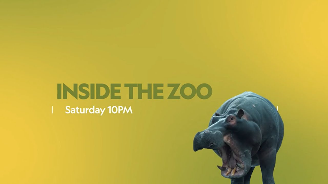Inside the Zoo Saturdays, 10 PM NatGeoWild RealisHere YouTube