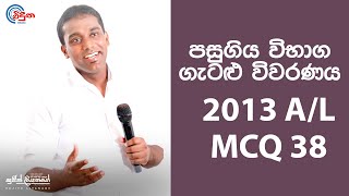 G.C.E. A/L Physics 2013 (Question 38) | භෞතික විද්යාව පසුගිය විභාග ගැටළු විවරණය
