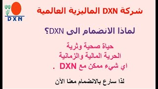 الخطة التسويقية لشركة DXN | الجزء الاول | ارباح التجزئة | استخدام الموقع الشخصي لشراء المنتجات