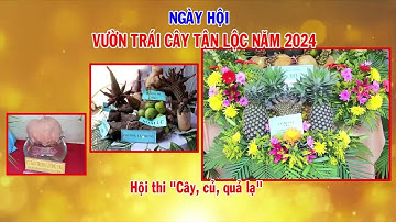 TRAILER NGÀY HỘI VƯỜN TRÁI CÂY TÂN LỘC NĂM 2024
