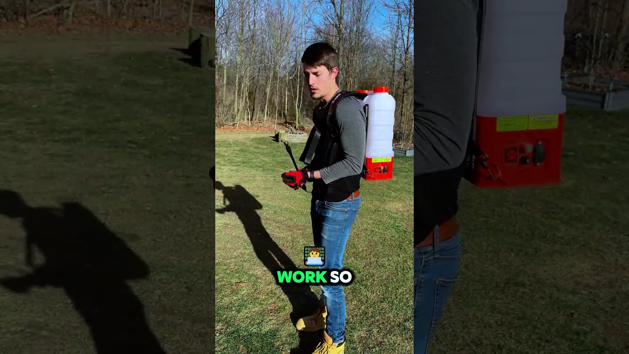 I’m never going back!