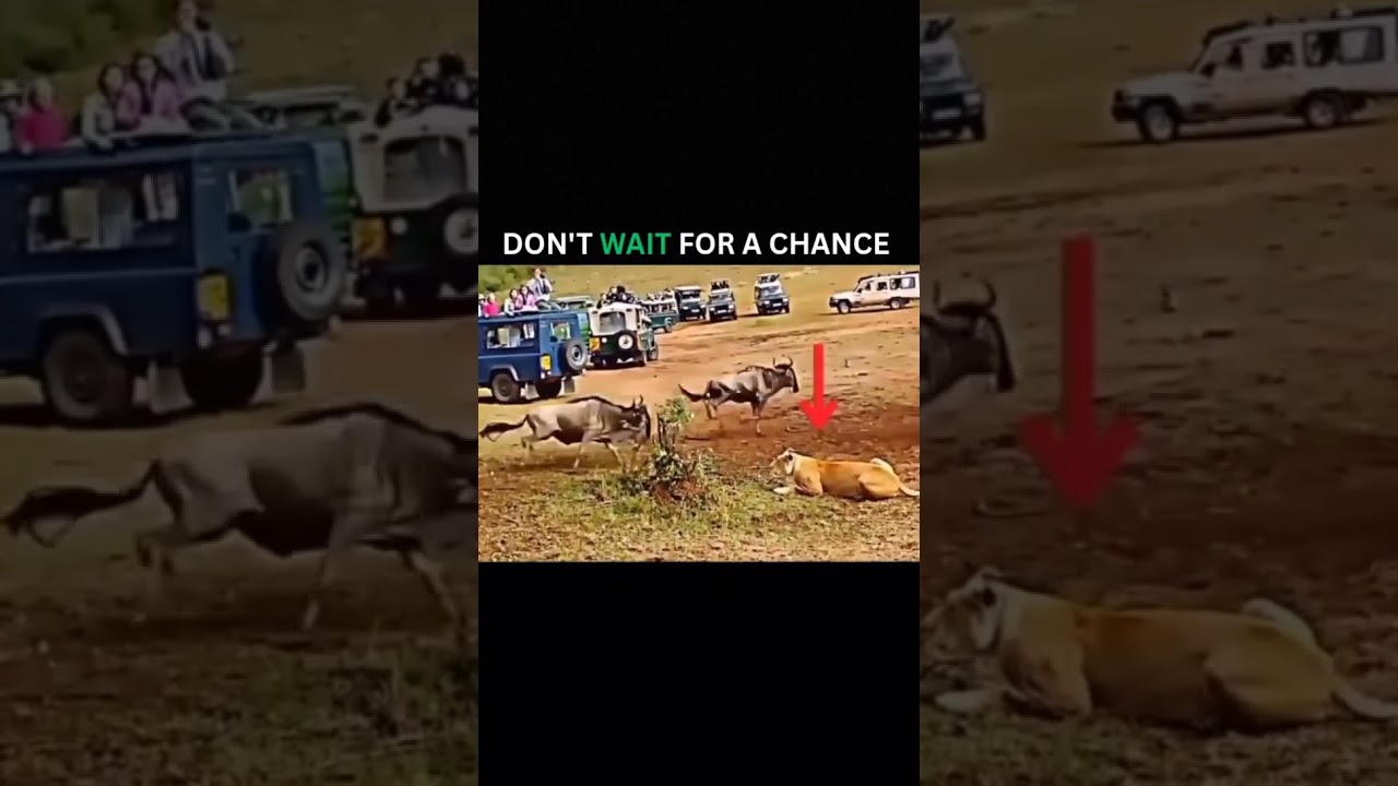 Don't wait for an opportunity,create one yourself 