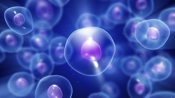 Think You Know About Stem Cells? Learn Something N...