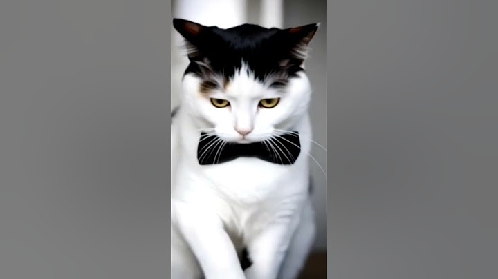 skąd to się wzięło#funny