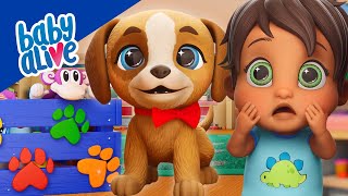Baby Alive Official  Dolls Babysitting the New Pet Puppy!  Kids Videos
