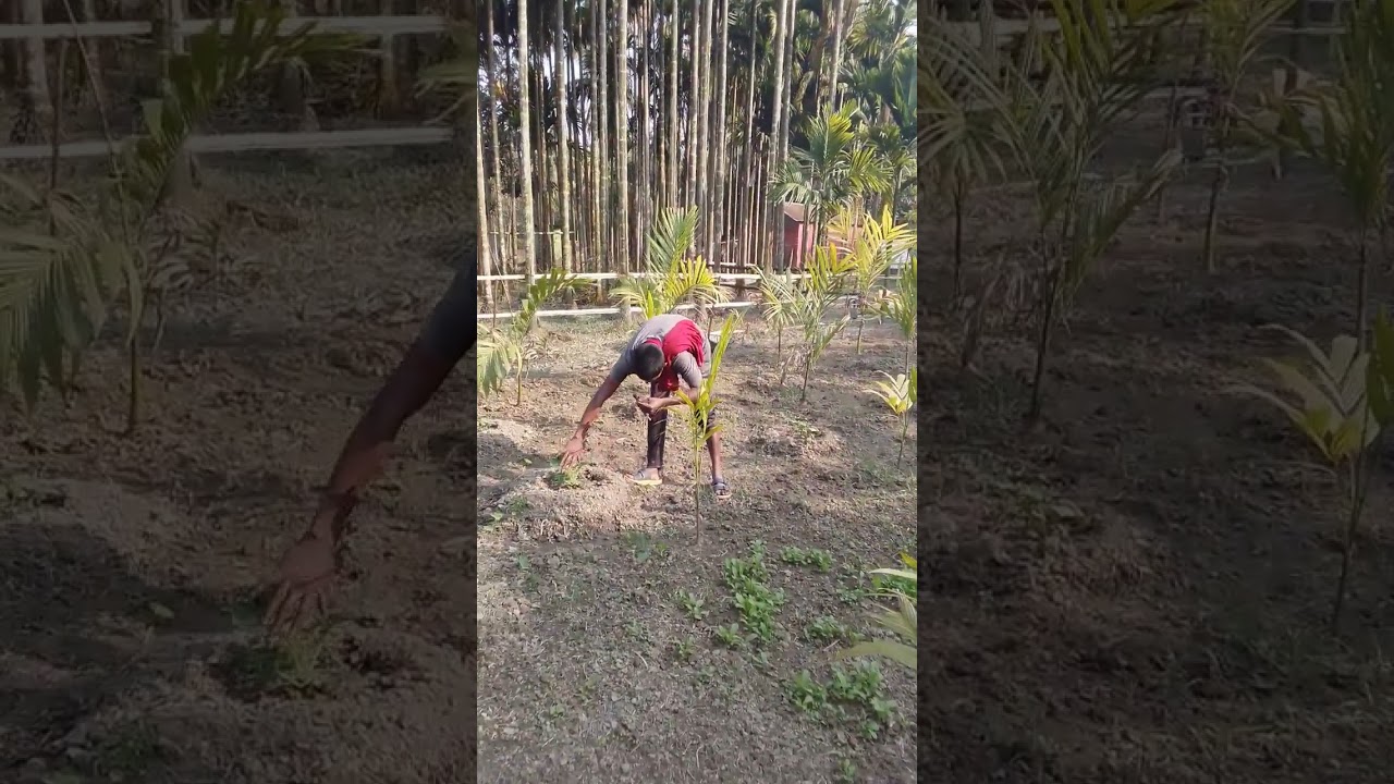 #vlogwithsohelvillagelifestyleinbangladeshbeautiful 