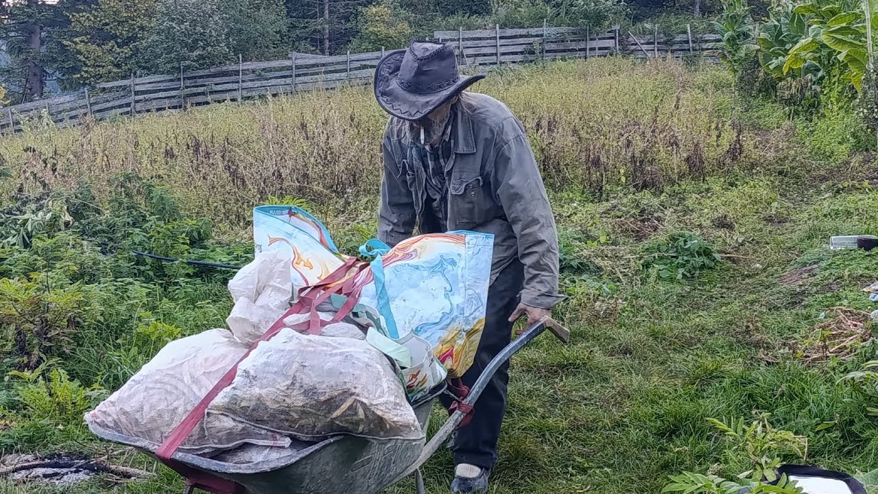 Vlašicki robinzon ubire ljetinu našo sam tri tamica graha poslusajmo njegovu pricu