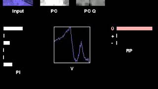 UNREAL: Maze Navigation with tinting of frames at random with different hue