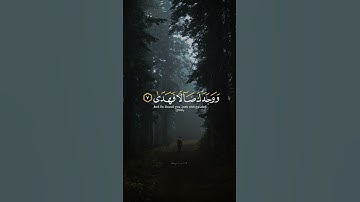 اكتب شي تؤجر عليه ♡✨️ ｜ القارئ محمد المنشاوي رحمه الله ｜ قرأن كريم