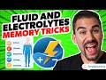 Fluid and Electrolytes Visual Memorization Tricks for NCLEX RN & LPN