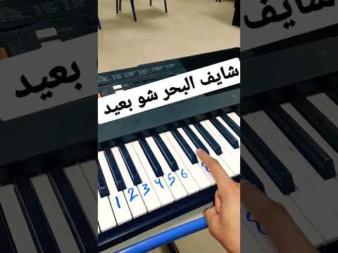 تعليم عزف شايف البحر شو بعيد Music Pianocover Piano Keyboard