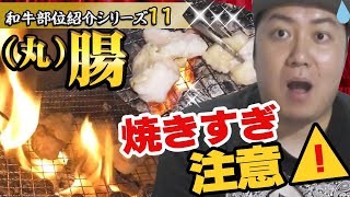 【和牛部位紹介シリーズ#11】（丸）腸の焼き方は〇を先に焼いて脂を焼くと柔らかくて脂の甘みが最高だった！