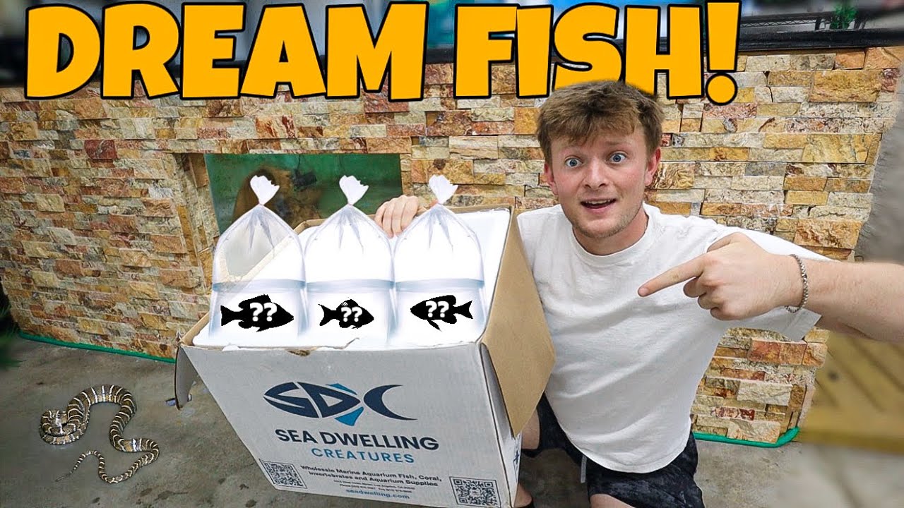 BUYING MY DREAM FISH!