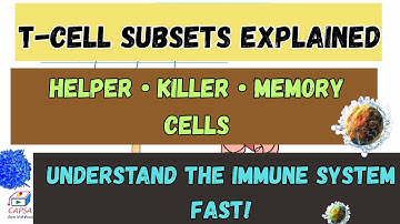 T-Cell Subsets Explained: Functions, Types & Immune Mechanisms