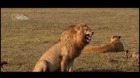 How do you fix the universe, Reddit?!