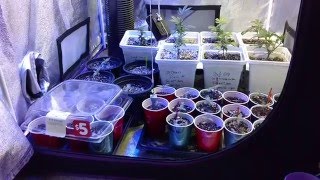 Unboxing my new G8-600 from DormGrow