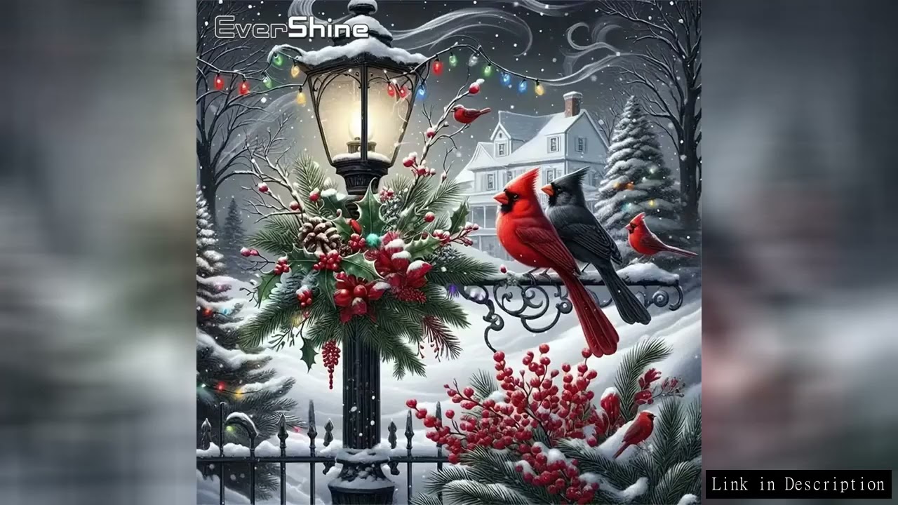 Evershine House Diamond Painting Landscape Winter Acrylic Craft Supplies Diamond Mosaic Bird DIY Emb