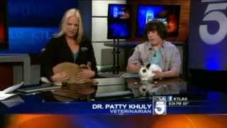 Details Do Bunnies Make Good Pets Update
