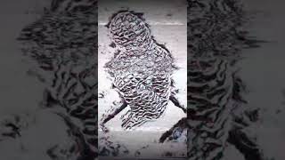 Canción "Lágrimas" en el canal principal #punk #rockalternativo #artoria #rock #grunge