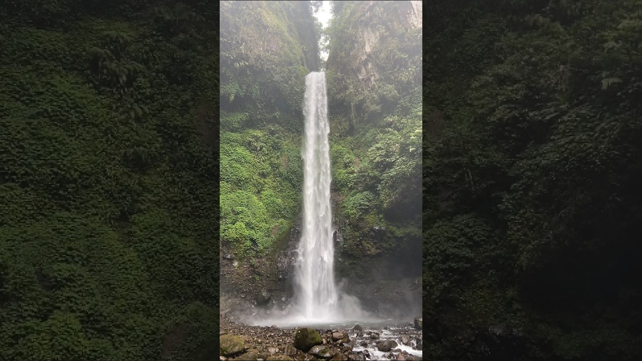 waterfall in rainforest 