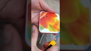 They mocked the quiet girl and called her a future cat lady just to be surprised after years