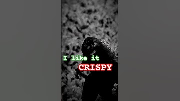 Godzilla jr wants to be an astronaut #godzilla #godzillajr #kaiju #actionfigures #actionfigurist